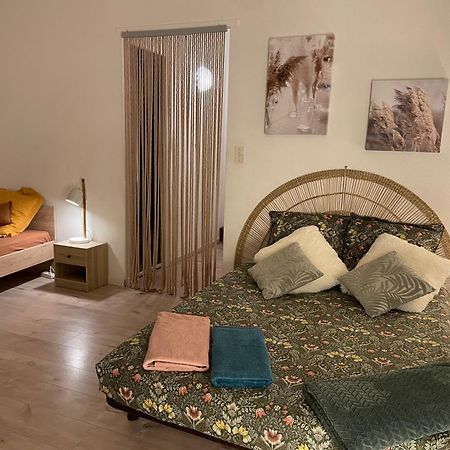 米洛T2 Plein Centre Au 1Er Etage Avec Parking Prive公寓 外观 照片